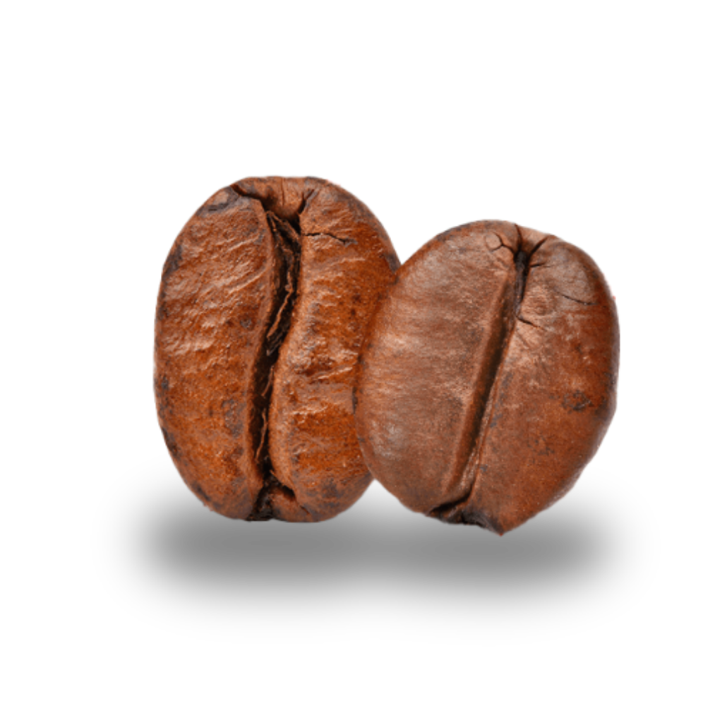 Two coffee beans
