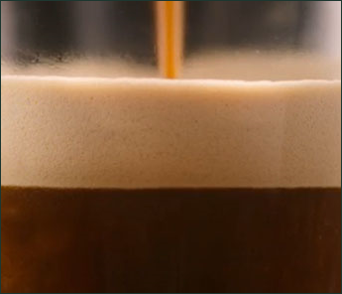 starbucks roast spectrum
