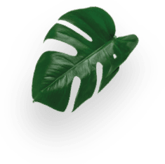 Espresso Intenso decoration Image